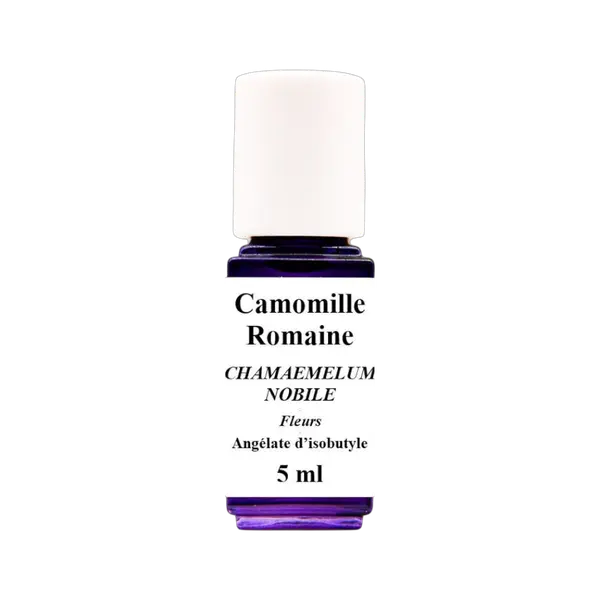 HE Camomille Romaine