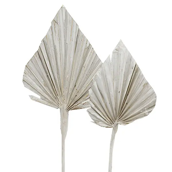 Mini feuilles de palmier – Grises